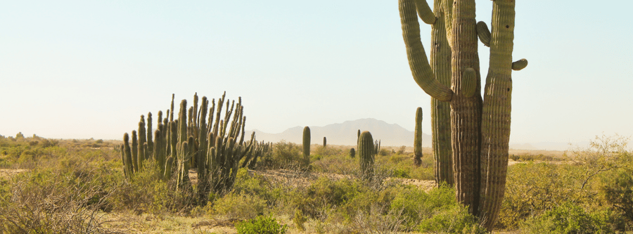 Rediscover Your Passions as an Empty Nester Through Travel Healthcare