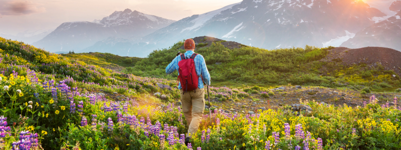 Springtime Adventures For Empty Nesters: The Best States For Your Next Travel Healthcare Assignment