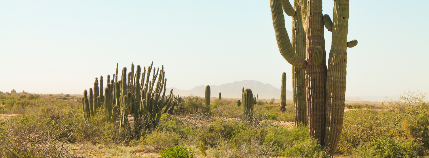 Rediscover Your Passions as an Empty Nester Through Travel Healthcare